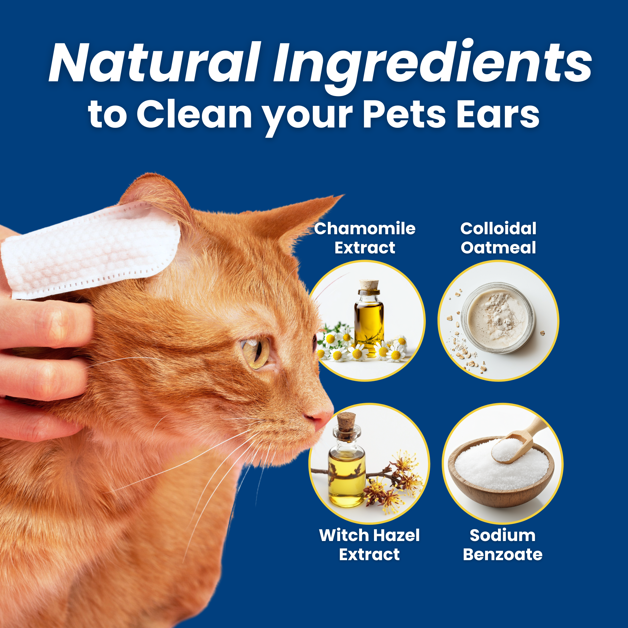 Pet Hygiene Bundle | Dental, Ear, & Eye Finger Wipes For Cats & Dogs