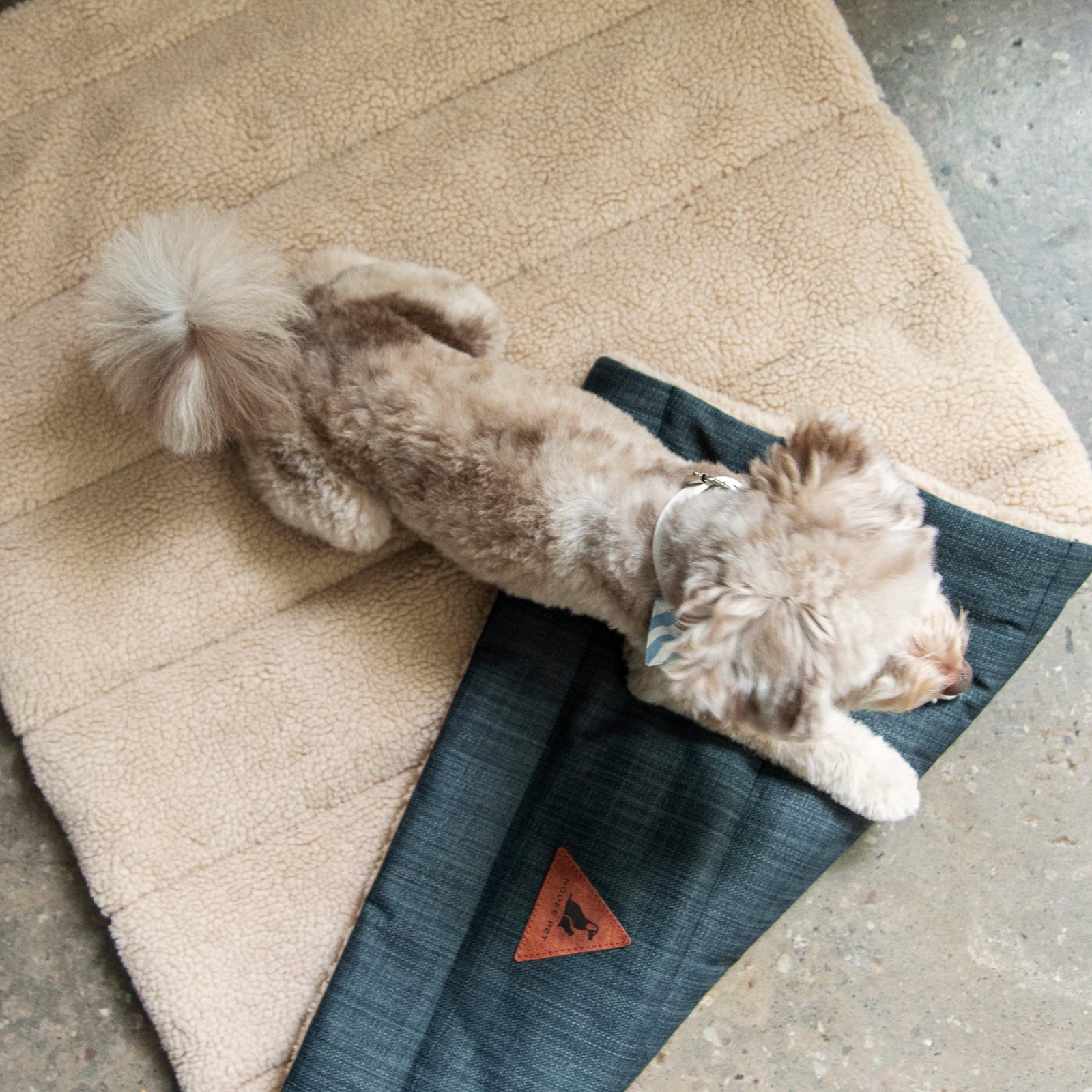 Nooee Travel Mat & Portable Dog Bed Jackson