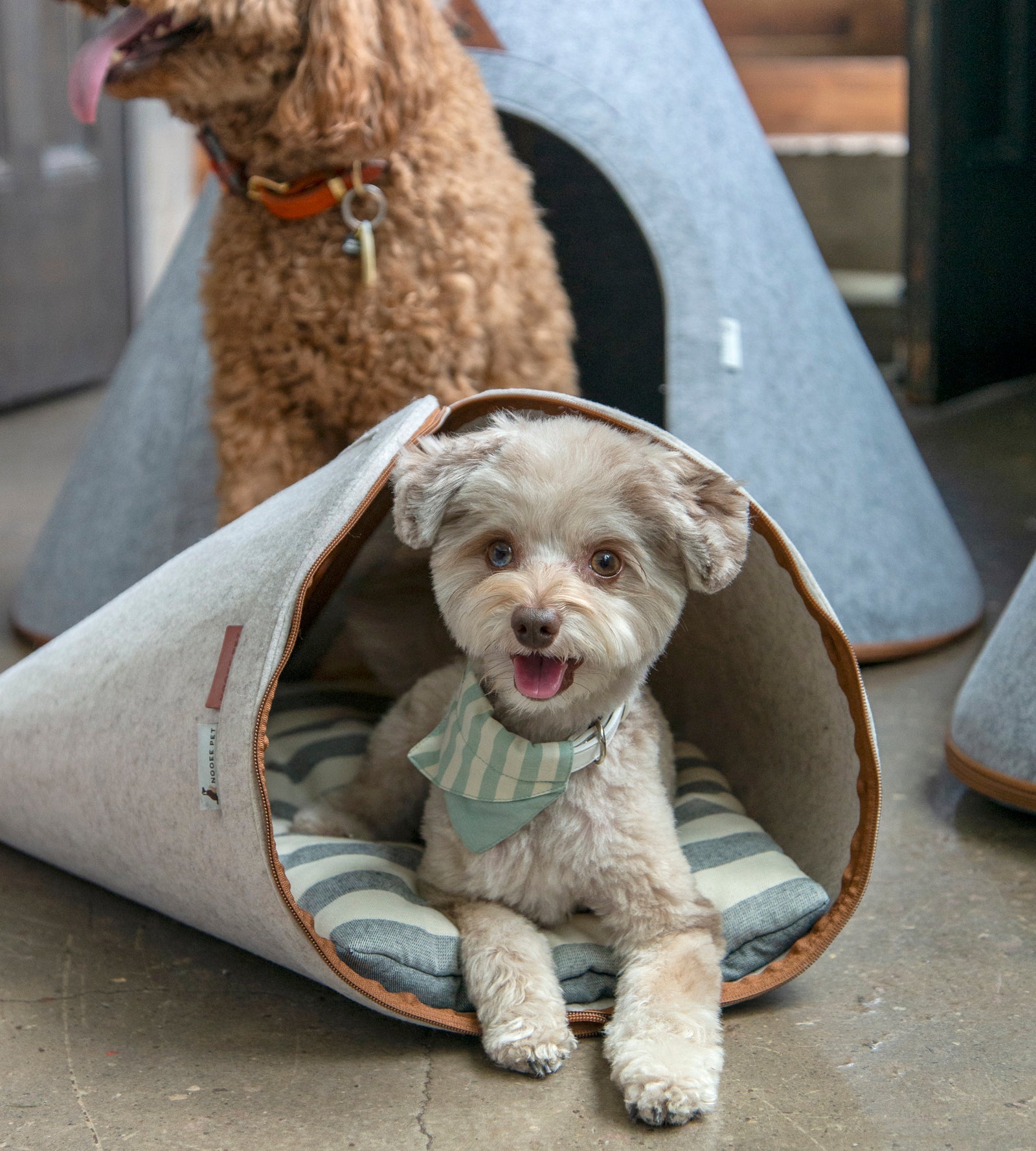 Nooee Tiny Dog & Cat Nabi Cave-Cream