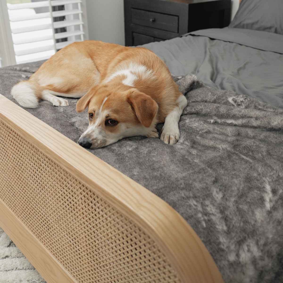 PupProtector luxe waterproof bed runner in chinchilla faux fur, photo 10