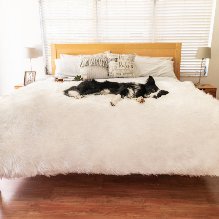 PupProtector waterproof dog blanket in polar white, photo 8