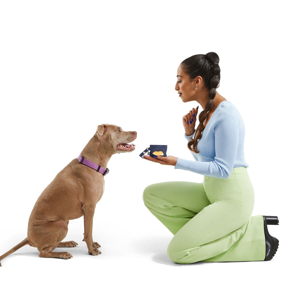 Dog sitting for a treat while the owner holds a leash with the JUST FRED waste bag pouch