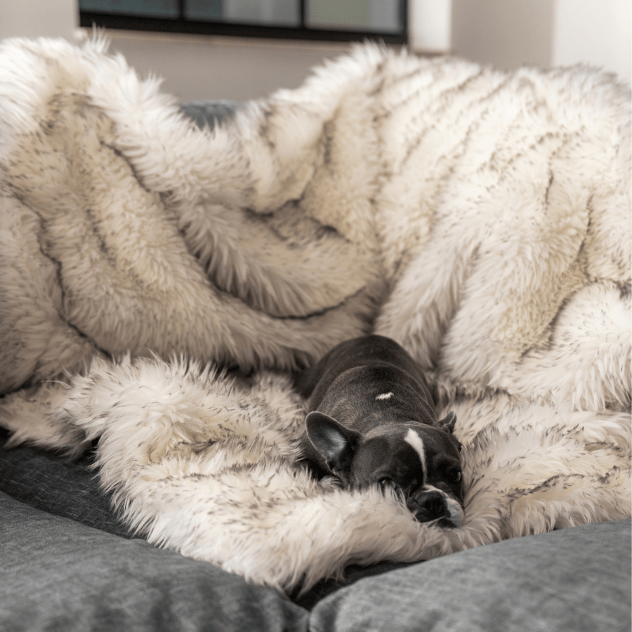 PupProtector waterproof dog blanket in white with brown accents, photo 8
