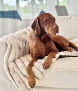 Large dog sitting on sofa with beautiful faux fur soft dog blanket from Bowsers