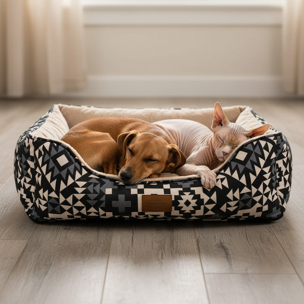 Hairless cat and small dog sleeping on a warm Pendleton bed with stylish patterns