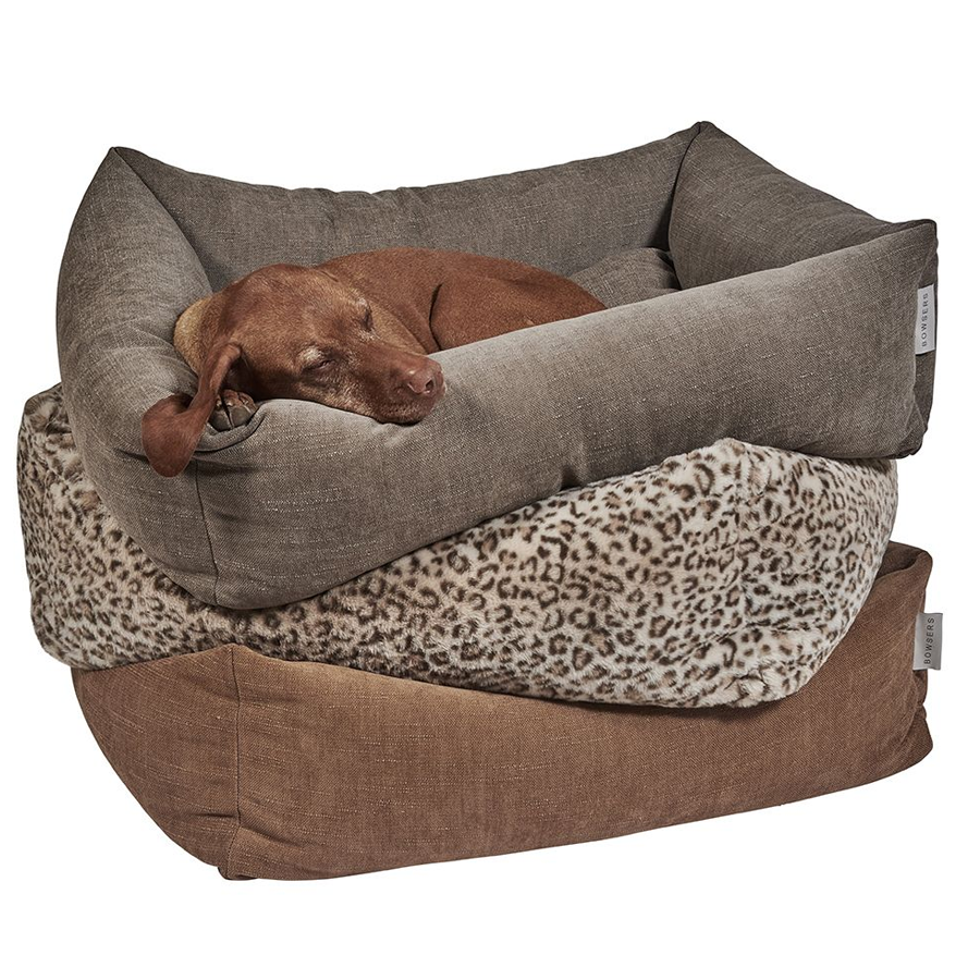 Dog lying on a brown and gray pet bed with leopard print bed.