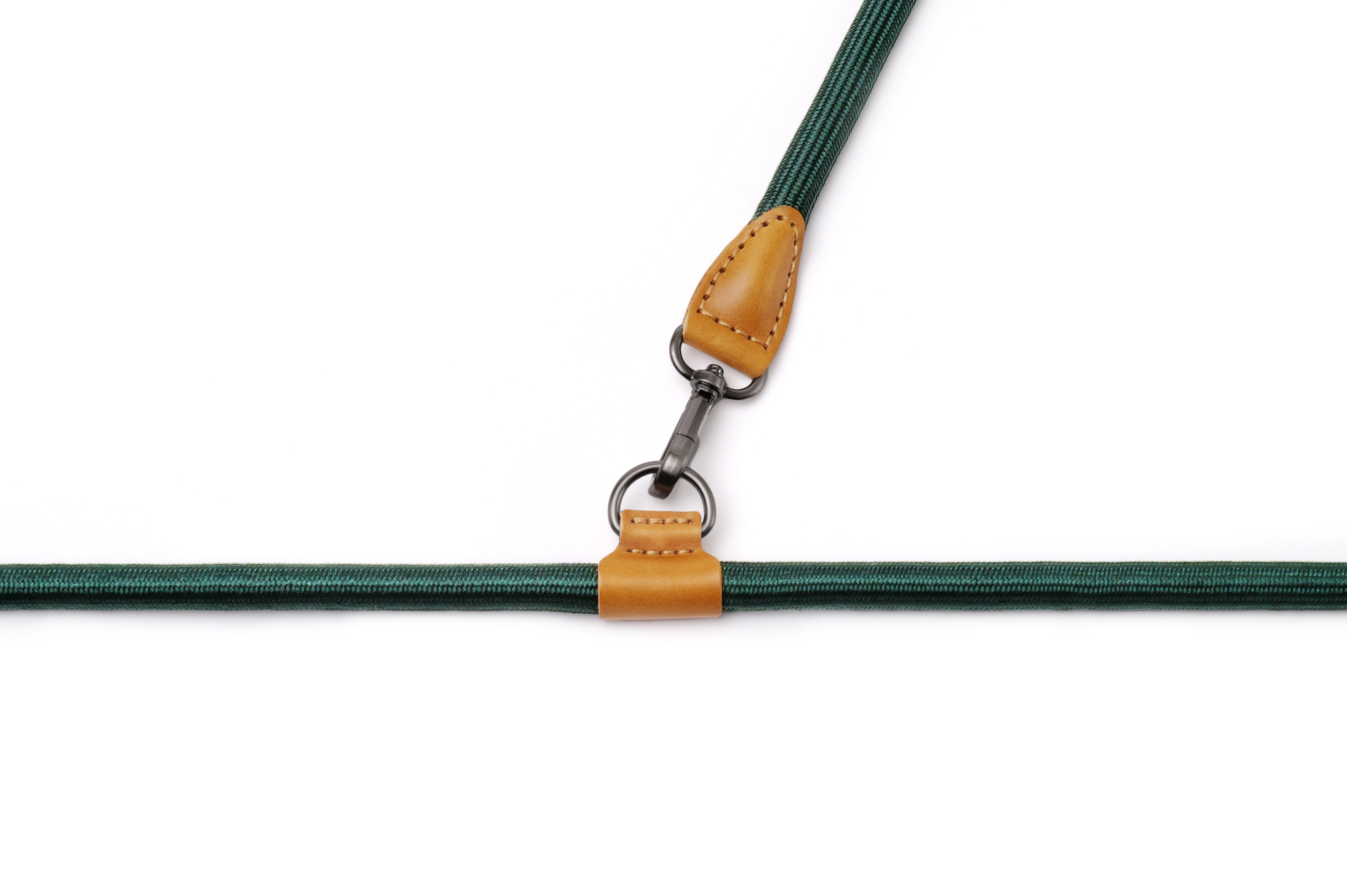 Hands-Free Ray Collar + Leash Set For Dogs | Jade Green