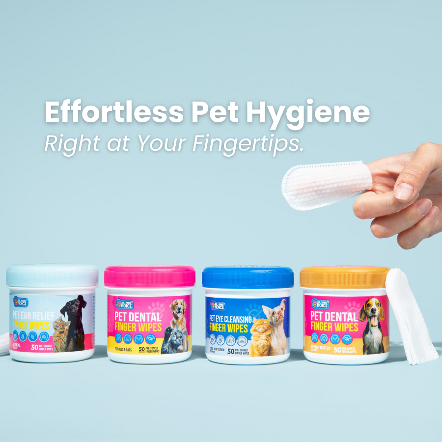Pet hygiene product packaging with a hand holding a wipe against a light blue background.