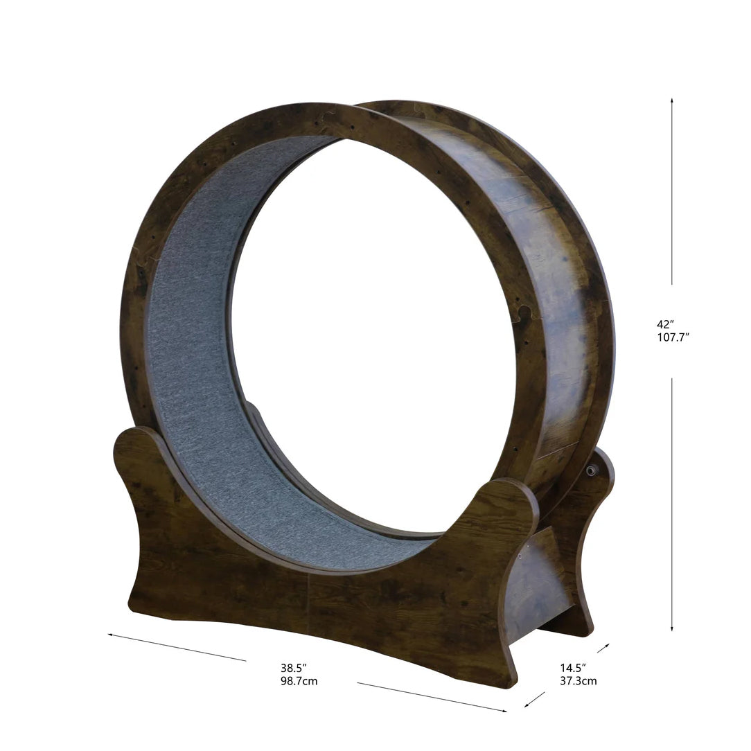 Cat Exercise Wheel Modern Design