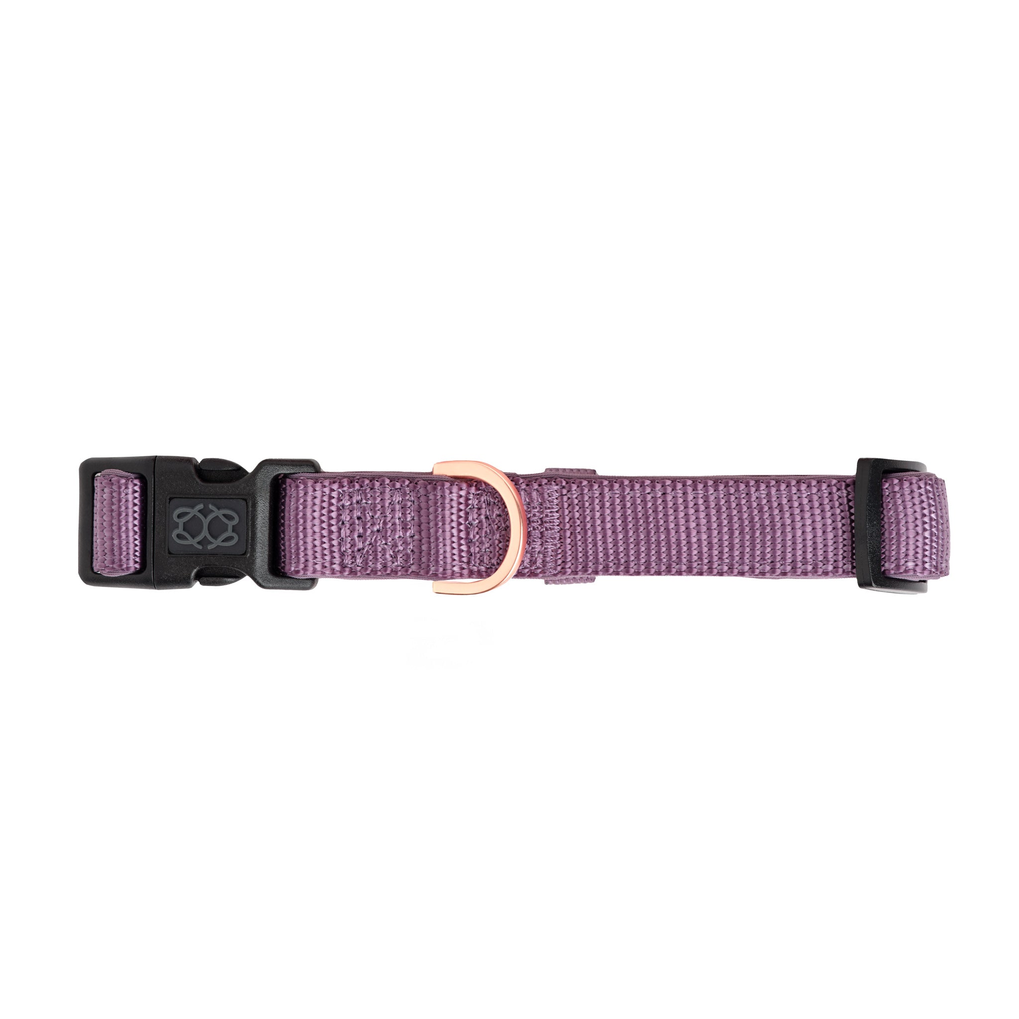 Purple dog collar with black buckle and rose gold ring on a white background