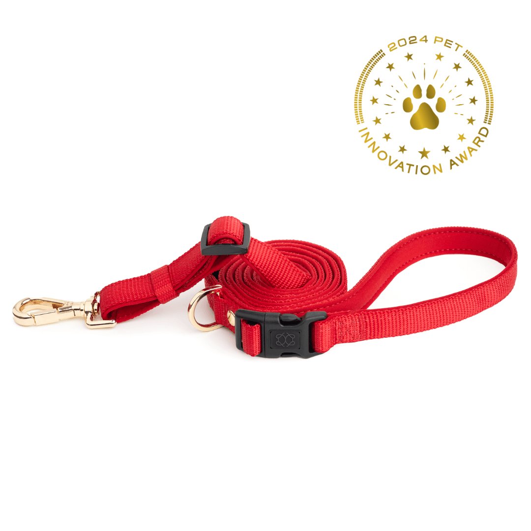 City Dog Leash - Iconic Red