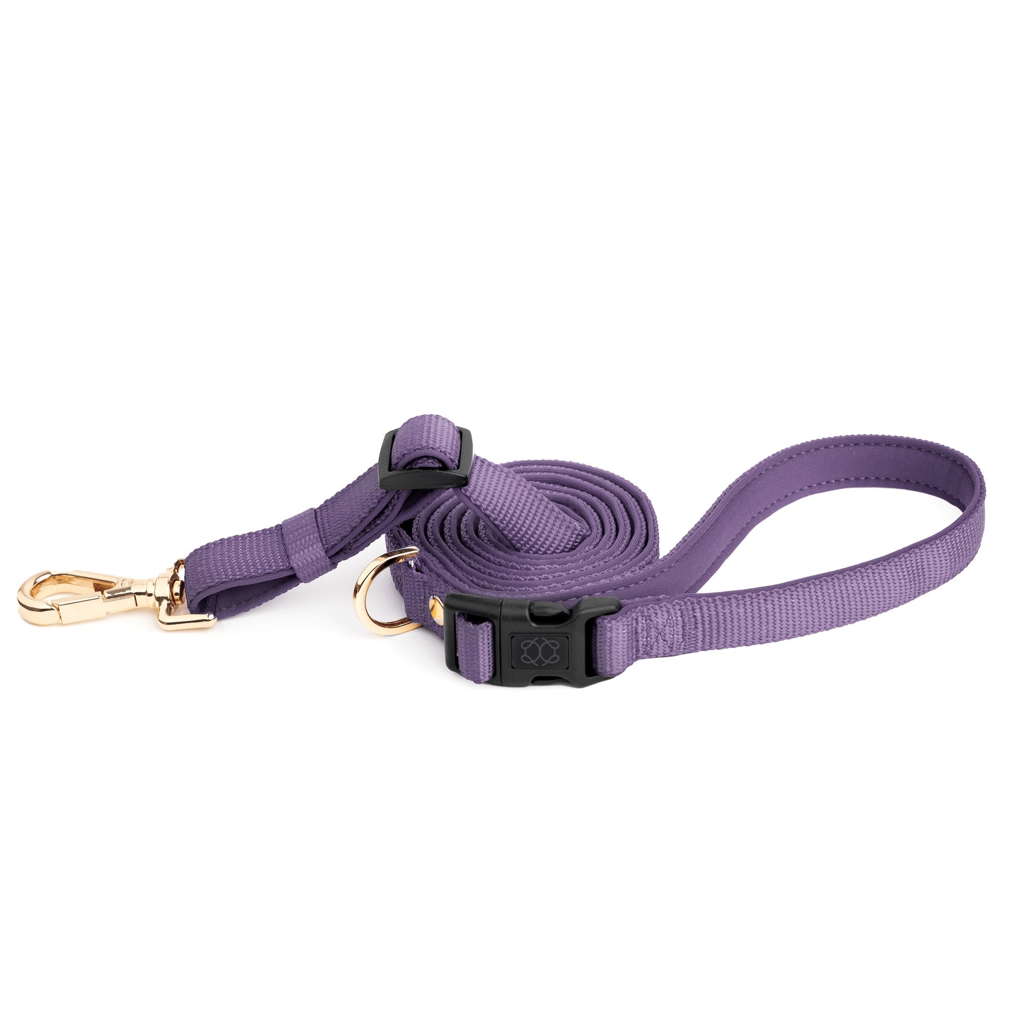 Hands-Free Small Dog Leash - City Lilac Gray