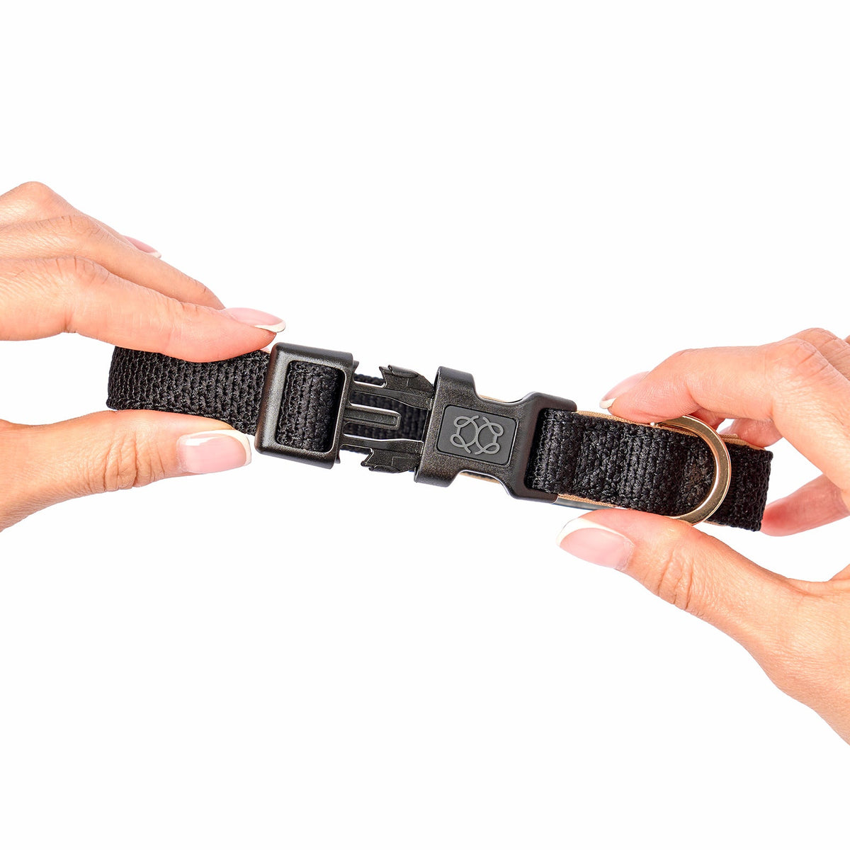 Fastening the Crosby City collar buckle