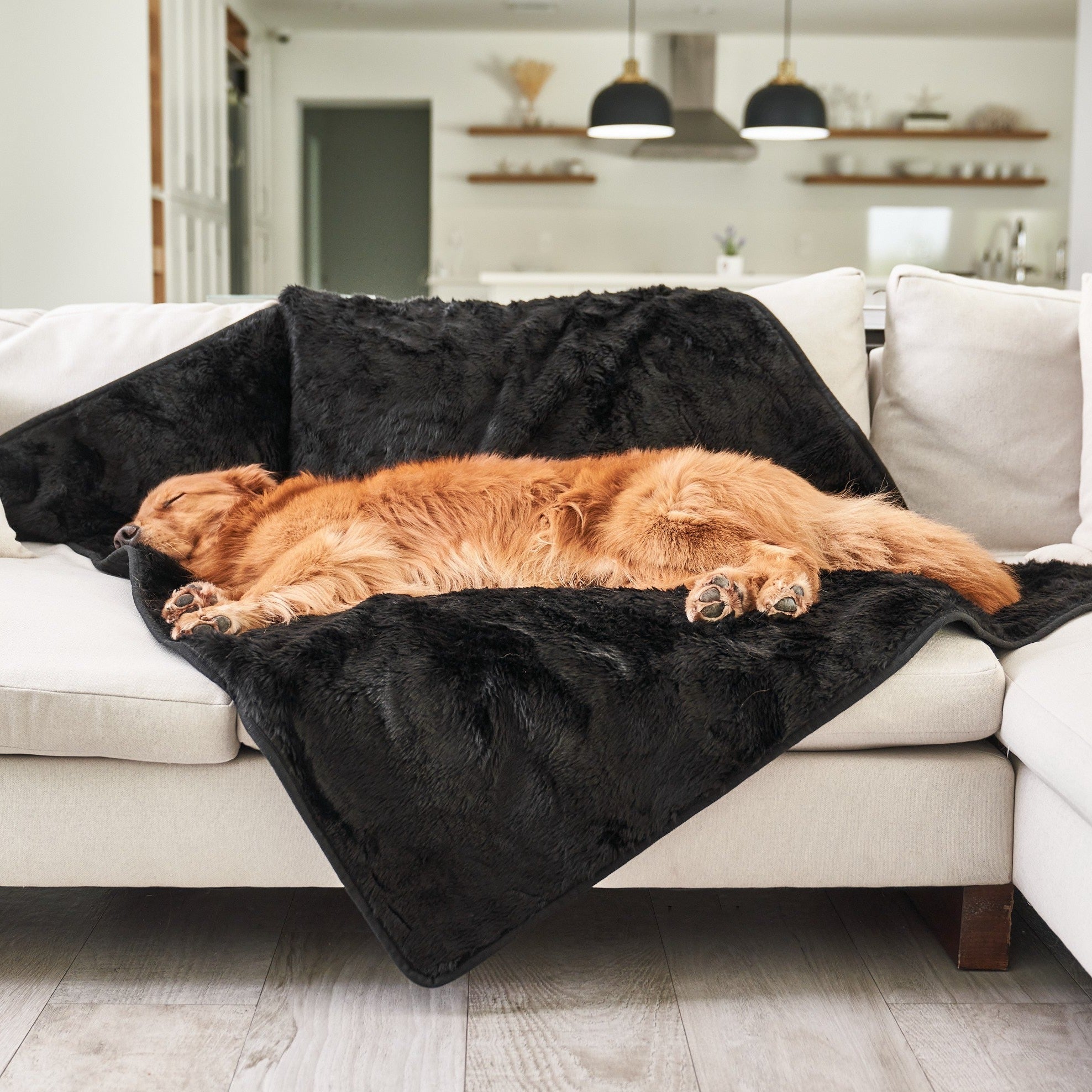 PupProtector Summer Short Fur Waterproof Throw Blanket - Midnight Black