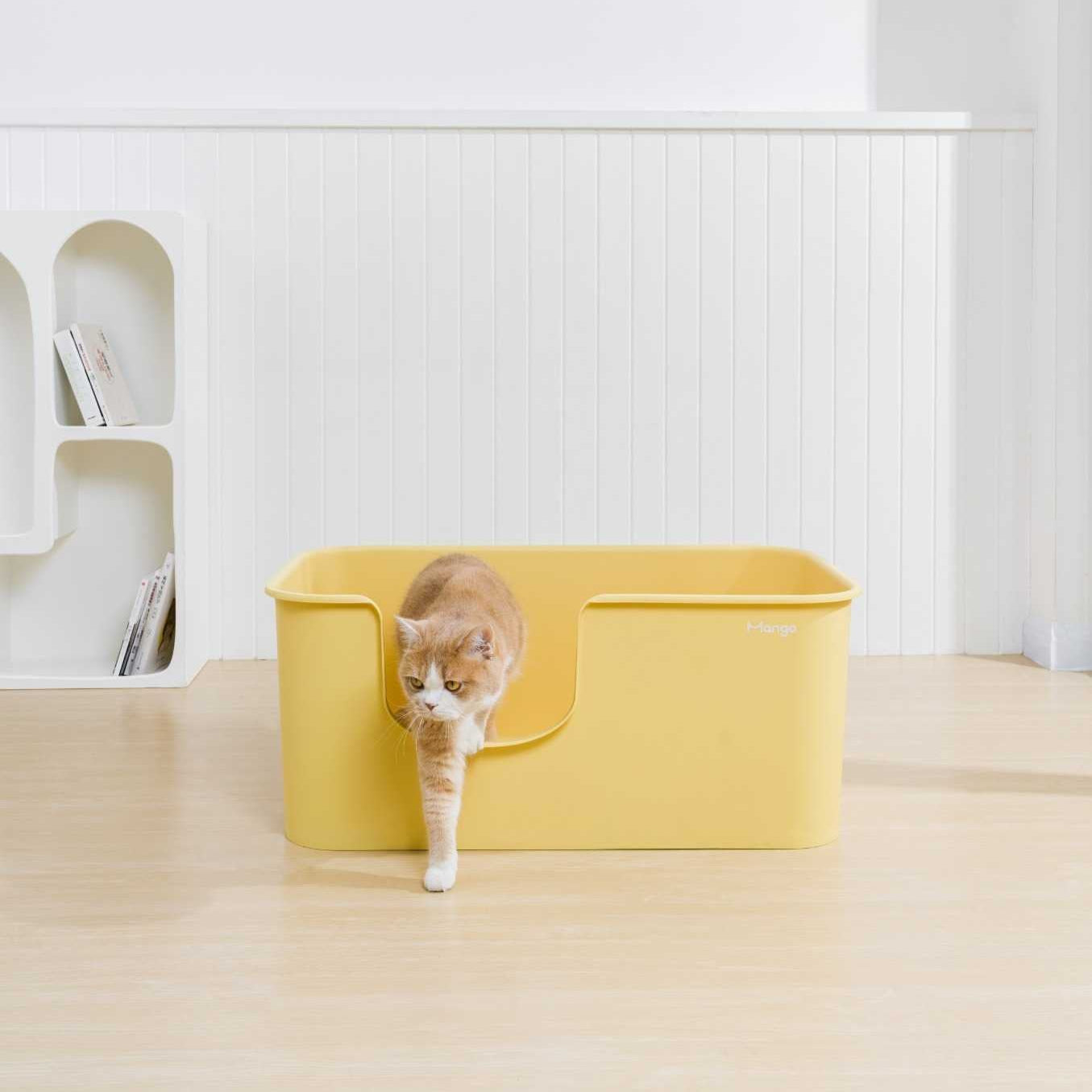 Extra Large Litter Box for Big Cats & Multi-Cat Homes