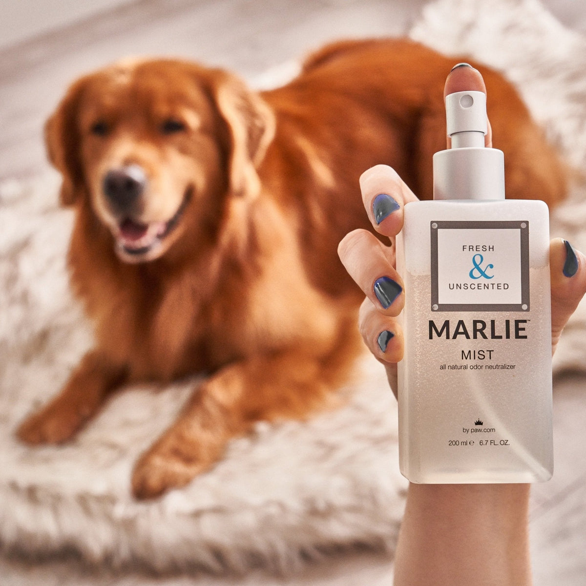 Marlie Mist natural pet odor eliminator spray, photo 14