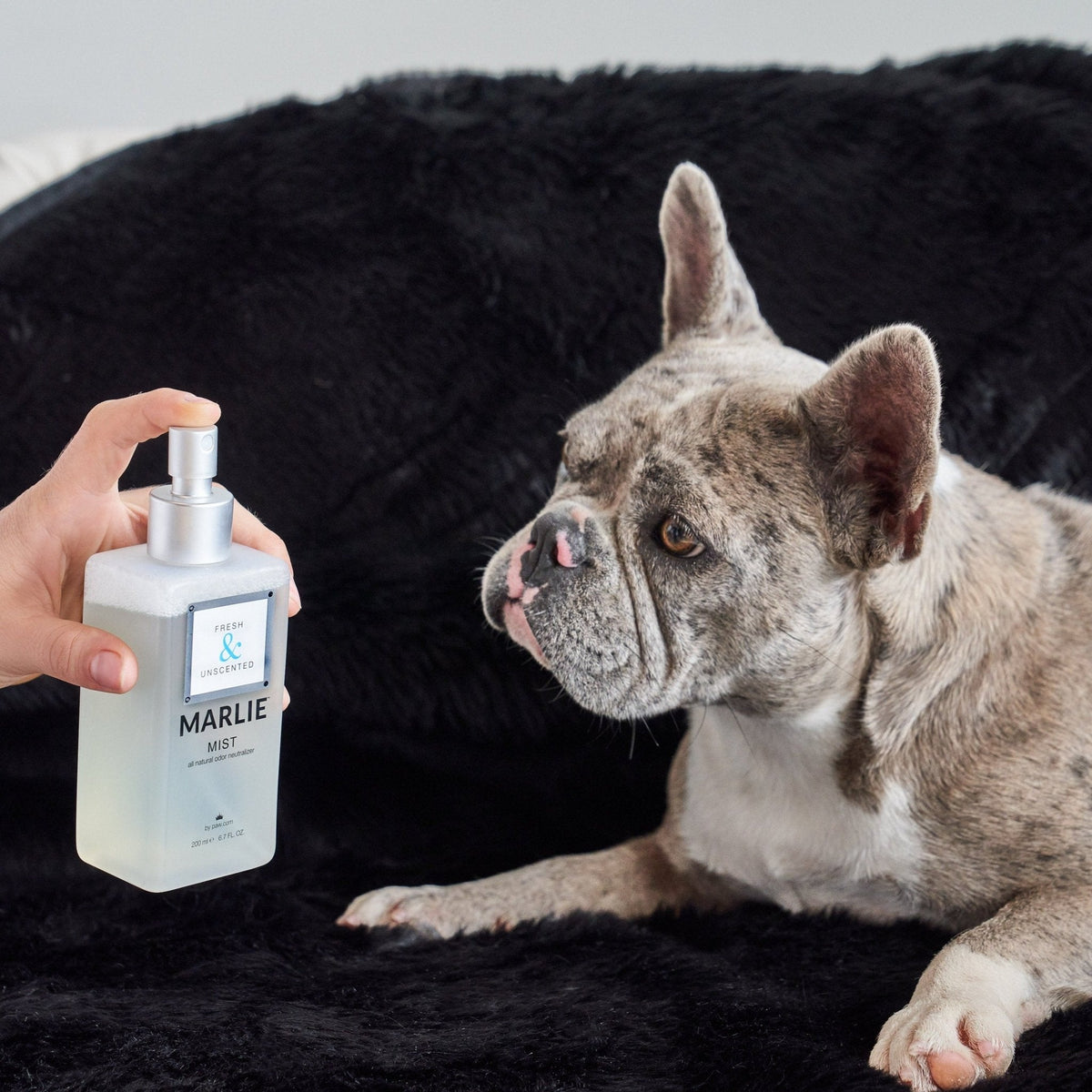 Marlie Mist natural pet odor eliminator spray, photo 8