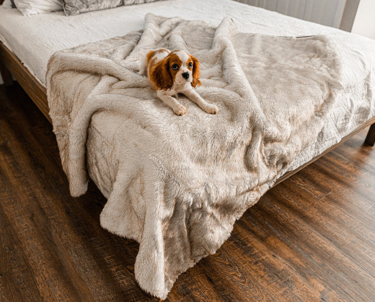 PupProtector summer short fur waterproof dog blanket in white with brown accents