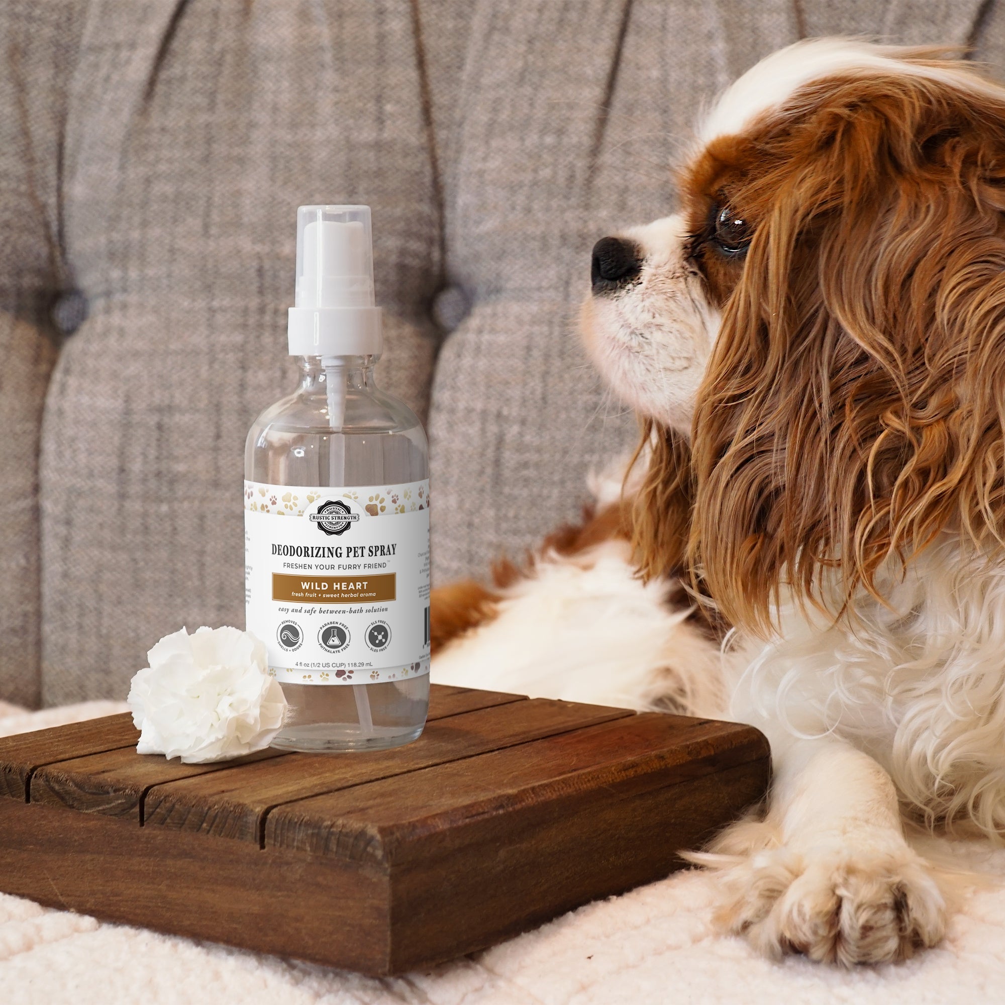 Non-Irritating, Non-Toxic Pet Shampoo, Conditioner & Spray | Scented