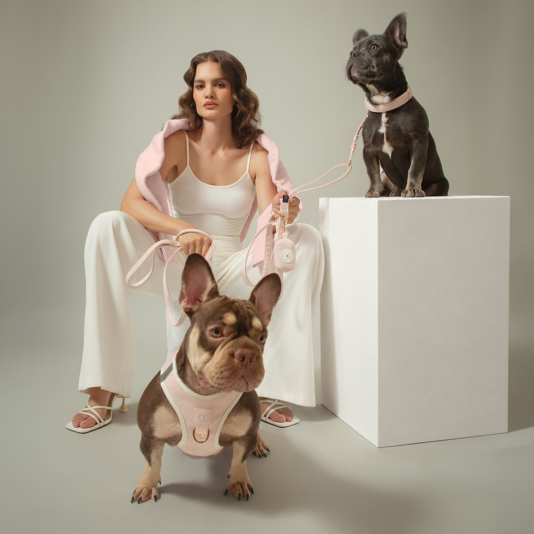 Woman with two French bulldogs in the Dogistry Madison collection
