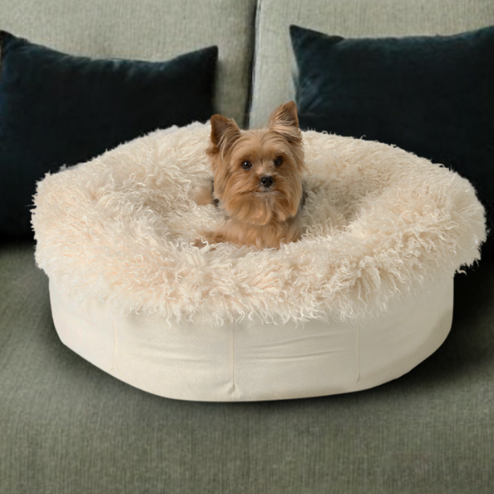 Small dog sitting on a fluffy beige pet bed in a living room setting.
