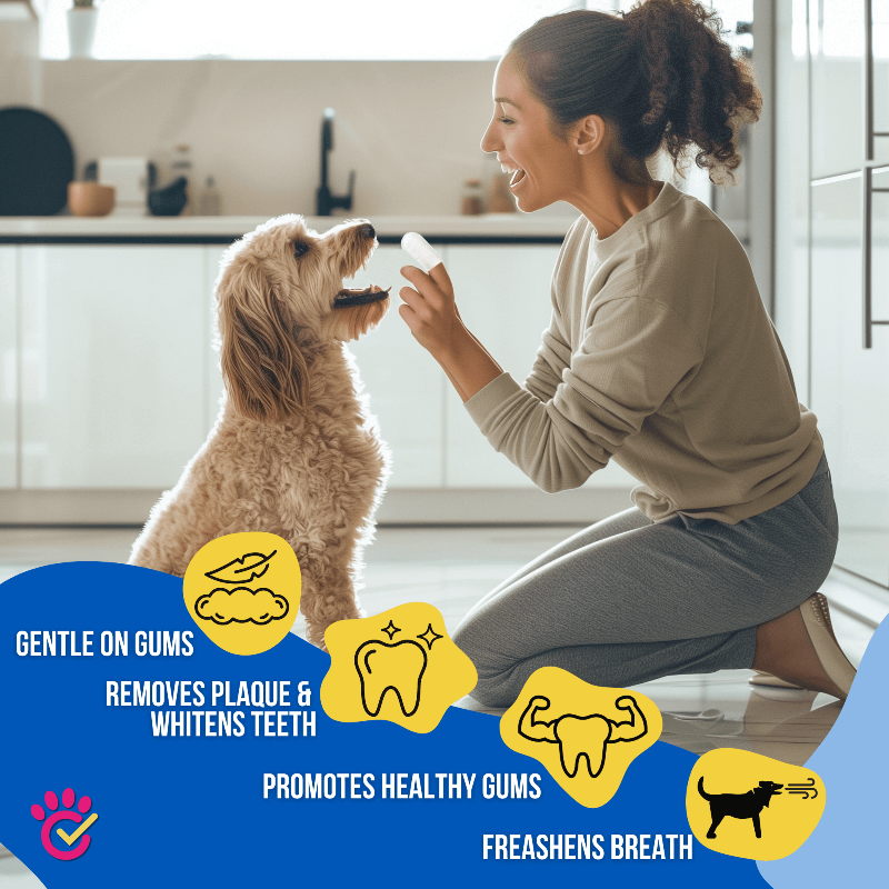Dog owner cleaning teeth with a finger wipe in a kitchen with product benefits displayed.