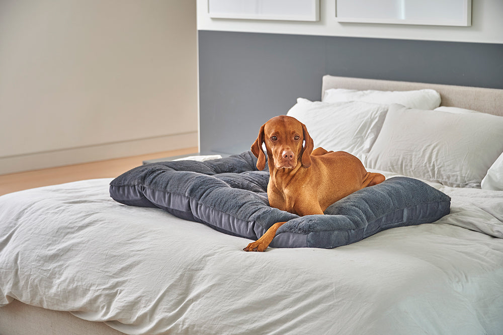 Dream Futon Dog Crate & Travel Bed