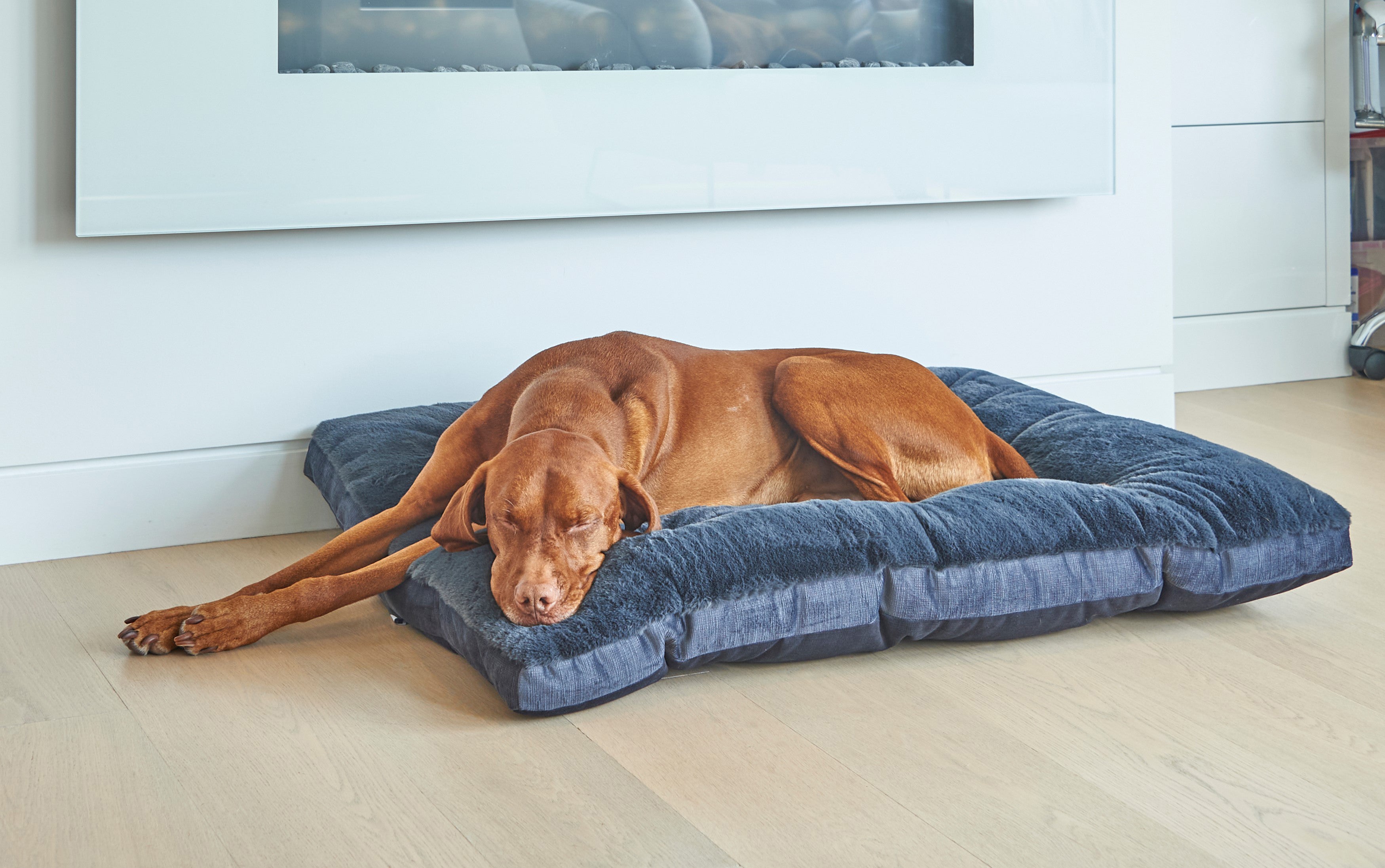 Dream Futon Dog Crate & Travel Bed