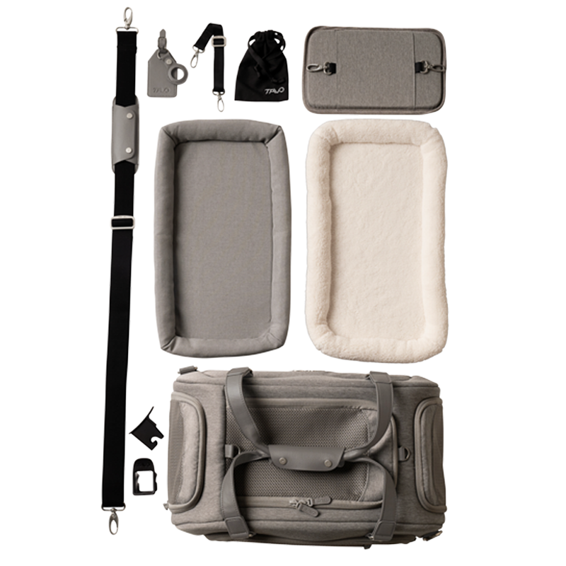 Dupree airline pet carrier and car seat