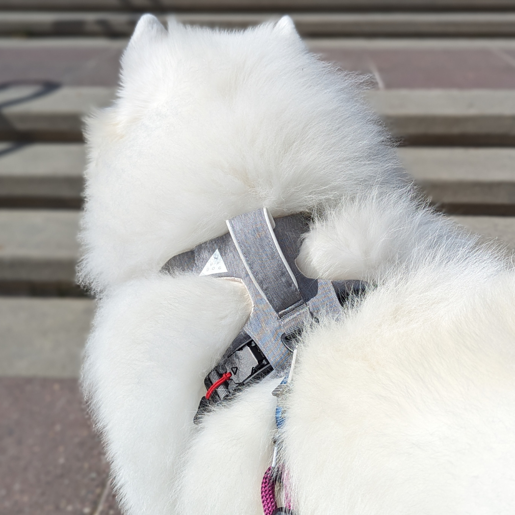 No-Pull Magnetic Dog Harness