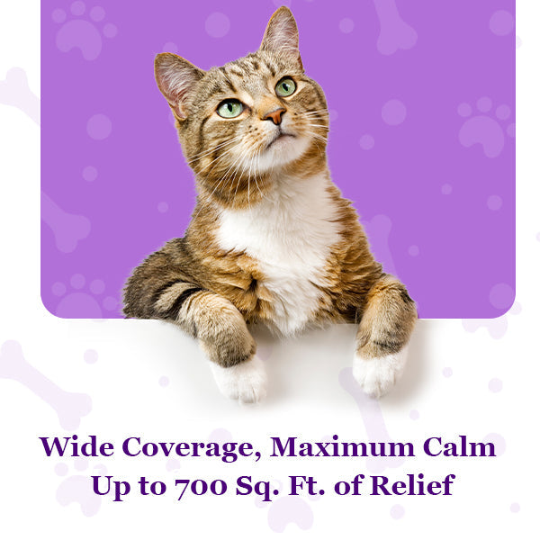Purrfect Calm Diffuser