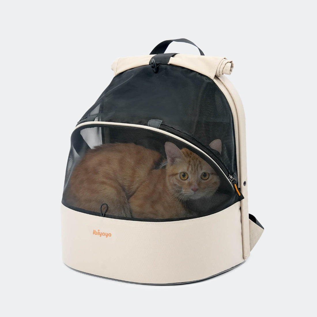 Cat in a beige and black Ibiyaya pet backpack on a white background
