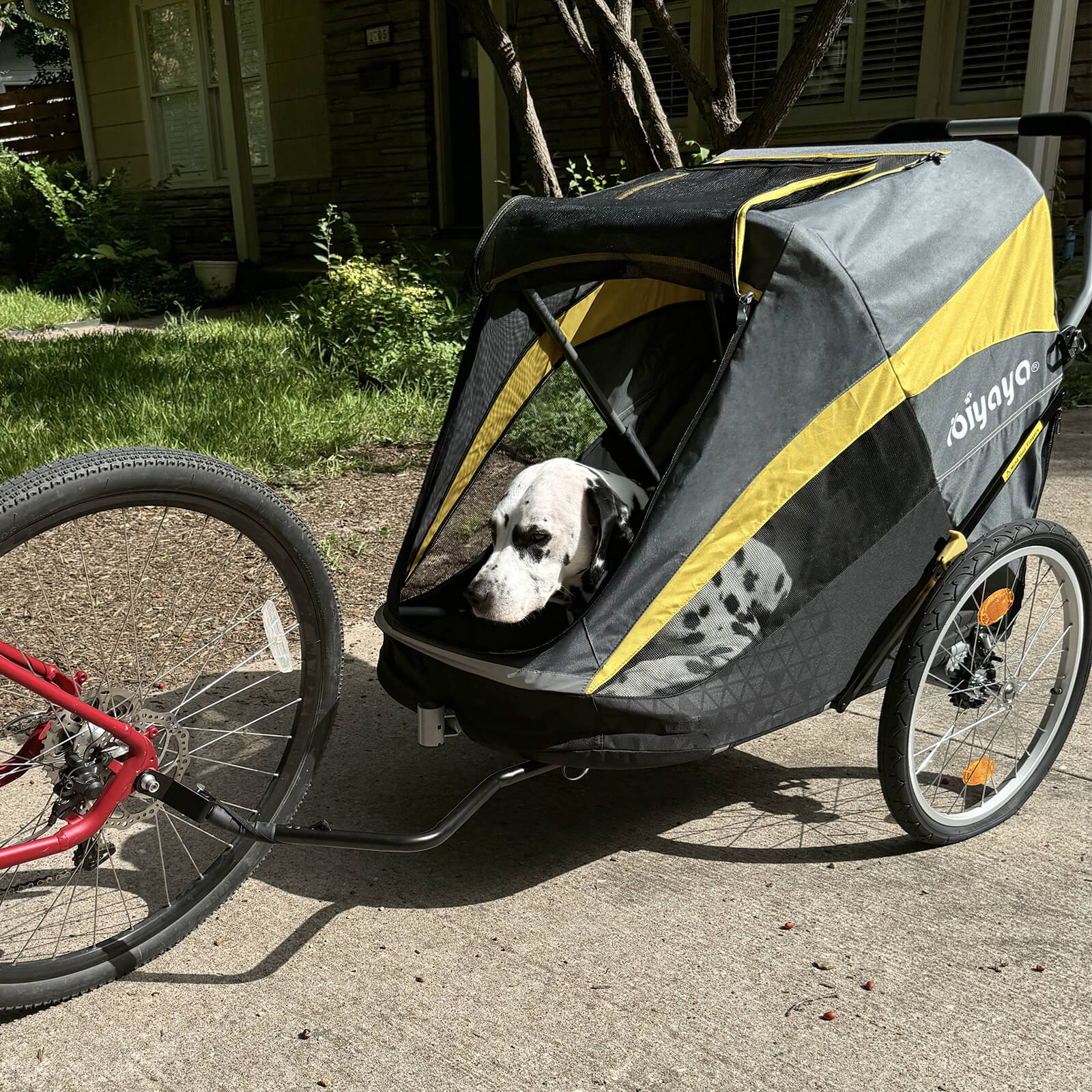 The Hercules Heavy-Duty Pro Pet Stroller Bike Trailer, 3-Wheel Extra-Large Dog Stroller