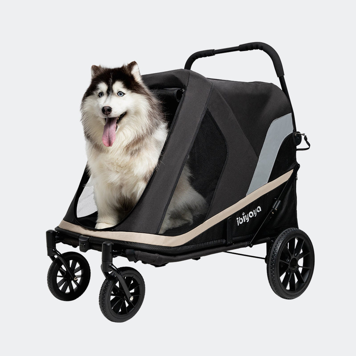 Husky sitting in the Grand Cruiser pet stroller with the front open