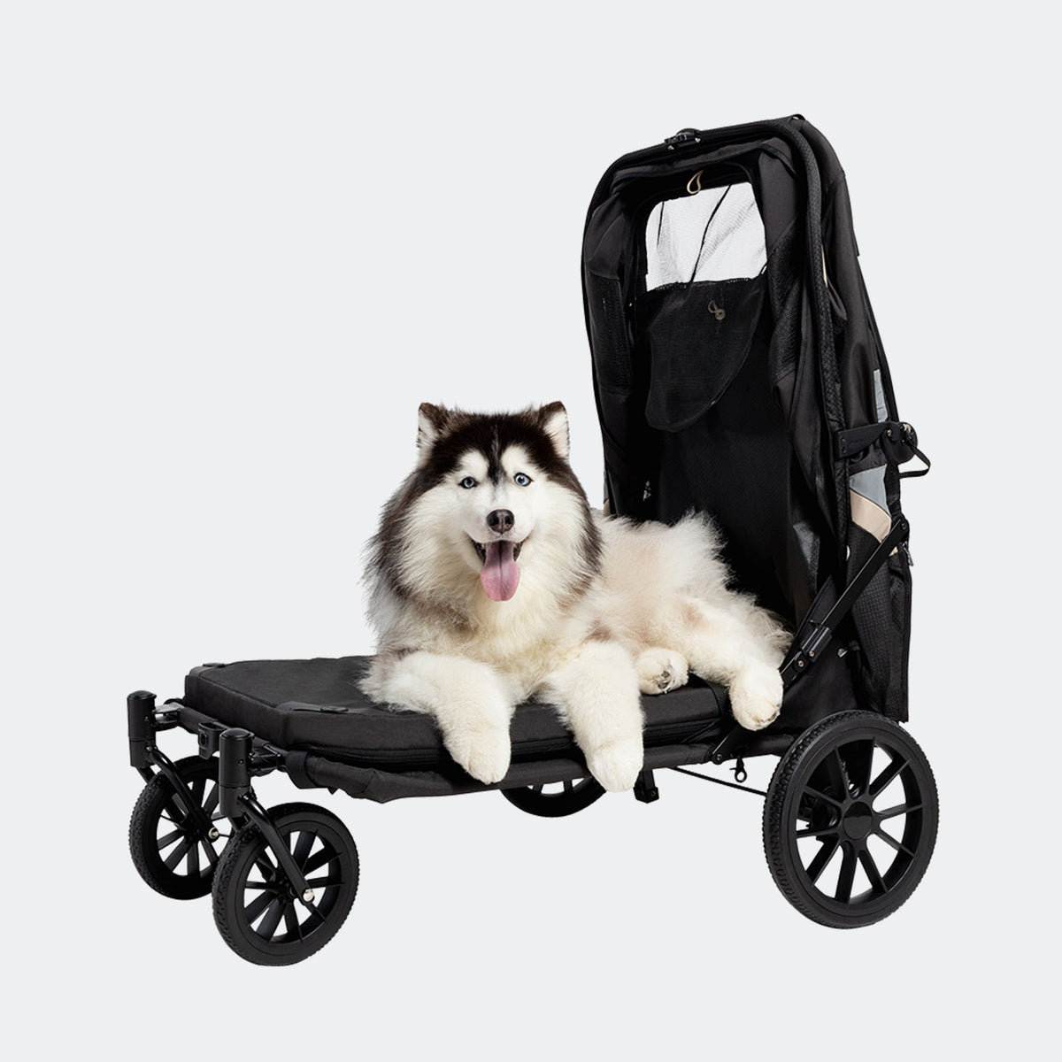 Grand Cruiser canopy fully open for easy loading of a large dog