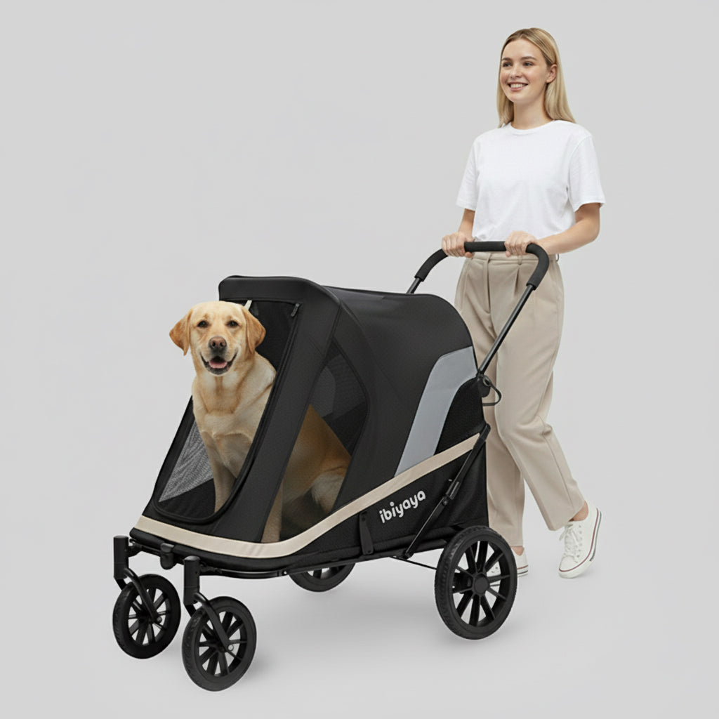 Woman pushing a golden retriever in the Grand Cruiser large dog stroller