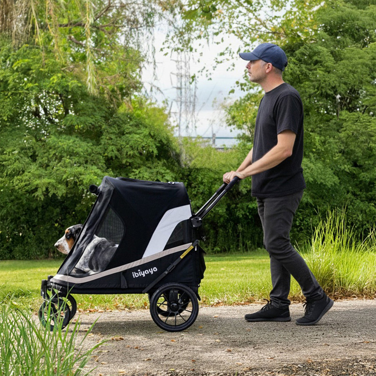 Man walking a dog in the Grand Cruiser stroller on a park path