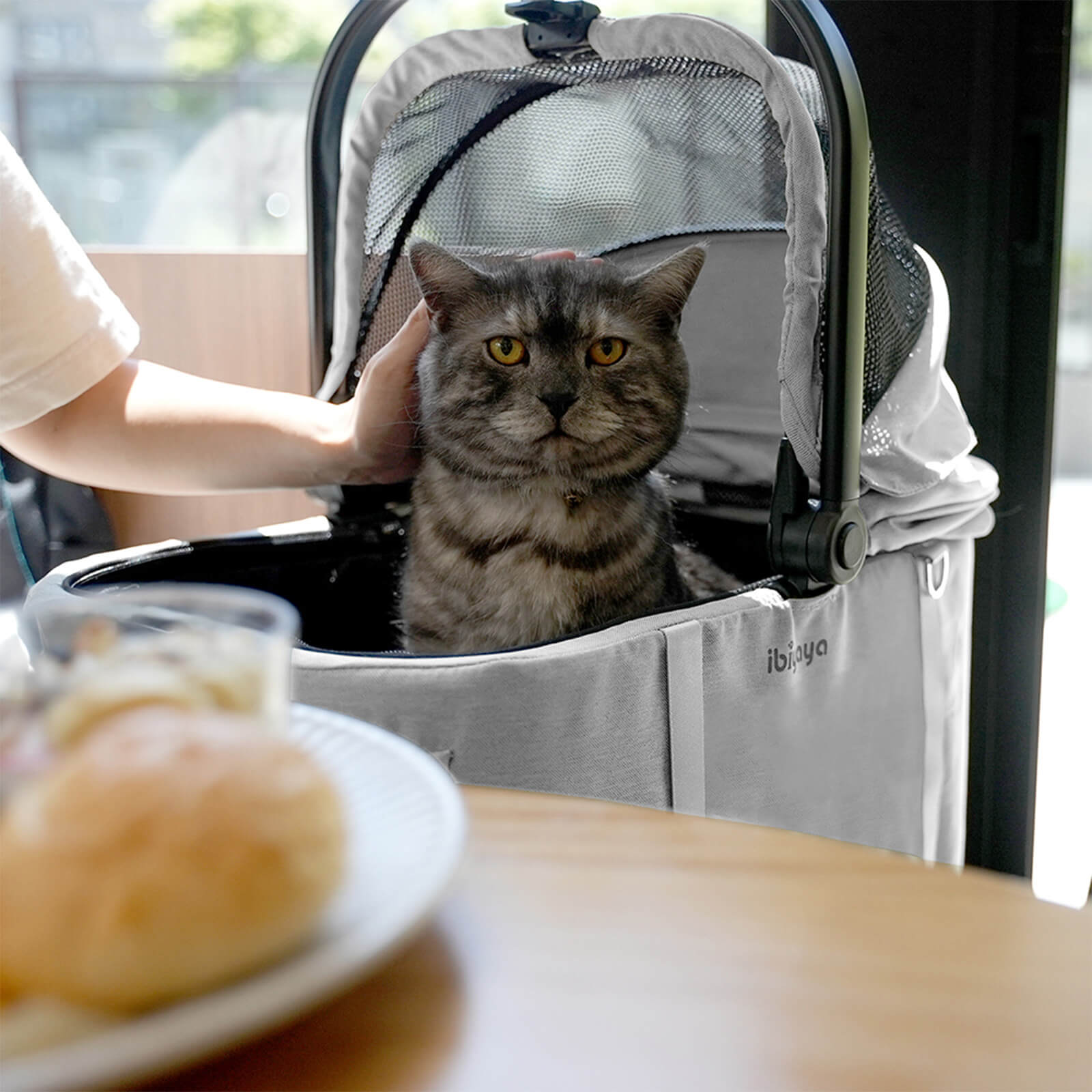 Lightweight Aluminum Stroller With Detachable Pet Carrier | Tinker