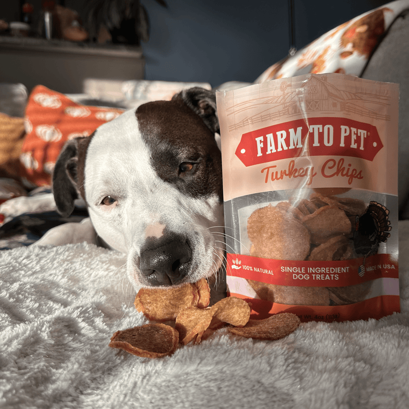 Turkey Chips for Dogs