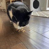 Turkey Crumbles for Cats