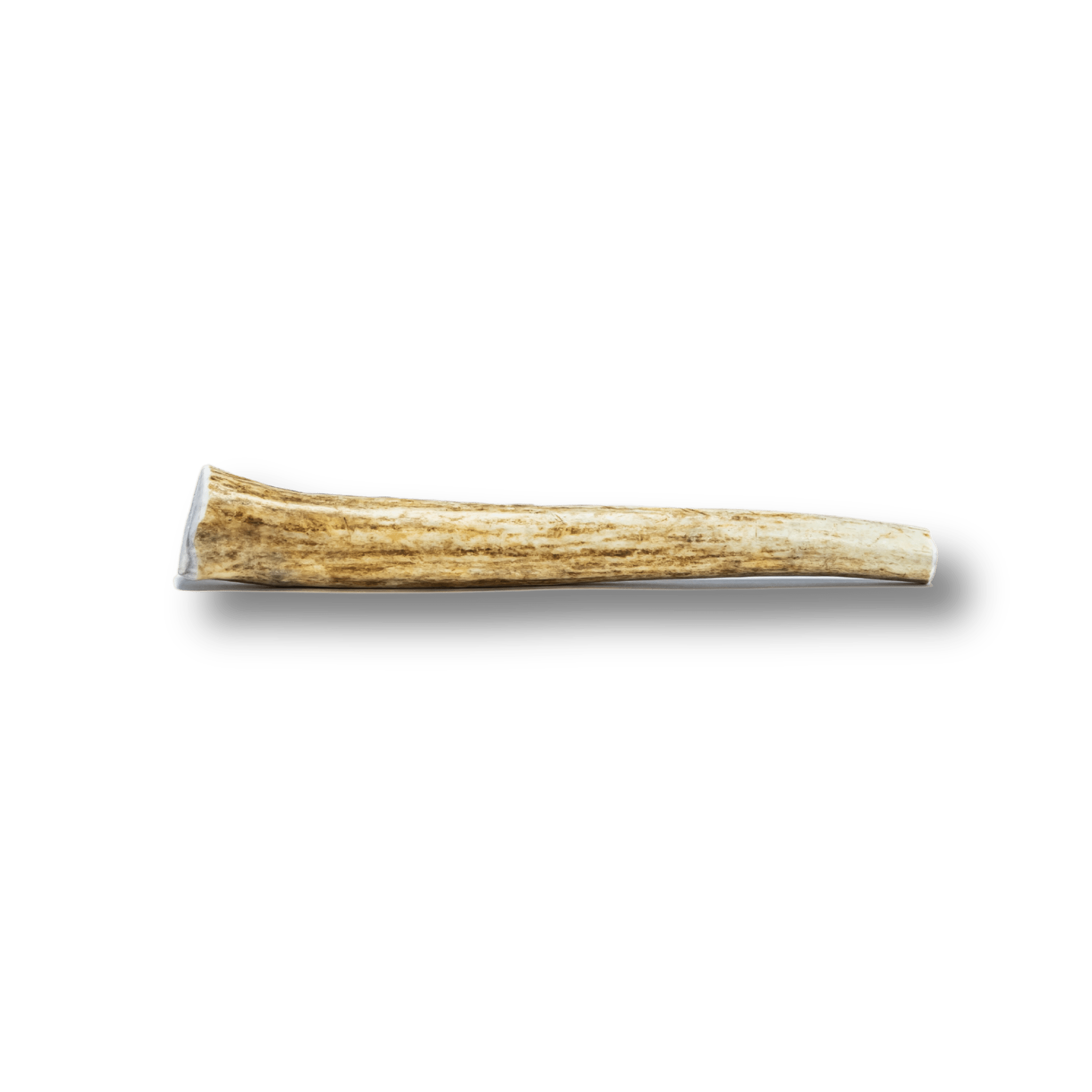 Whole Elk Antlers for Dogs