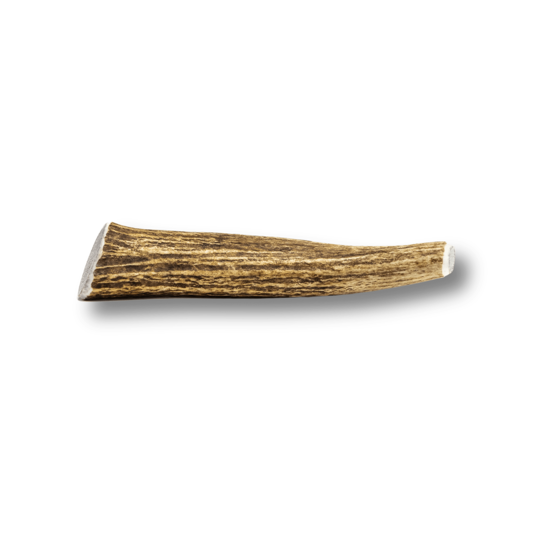 Whole Elk Antlers for Dogs