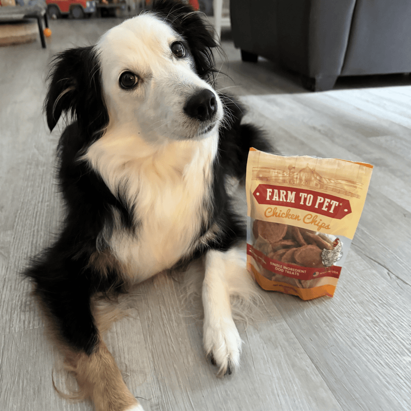 Chicken Chips for Dogs