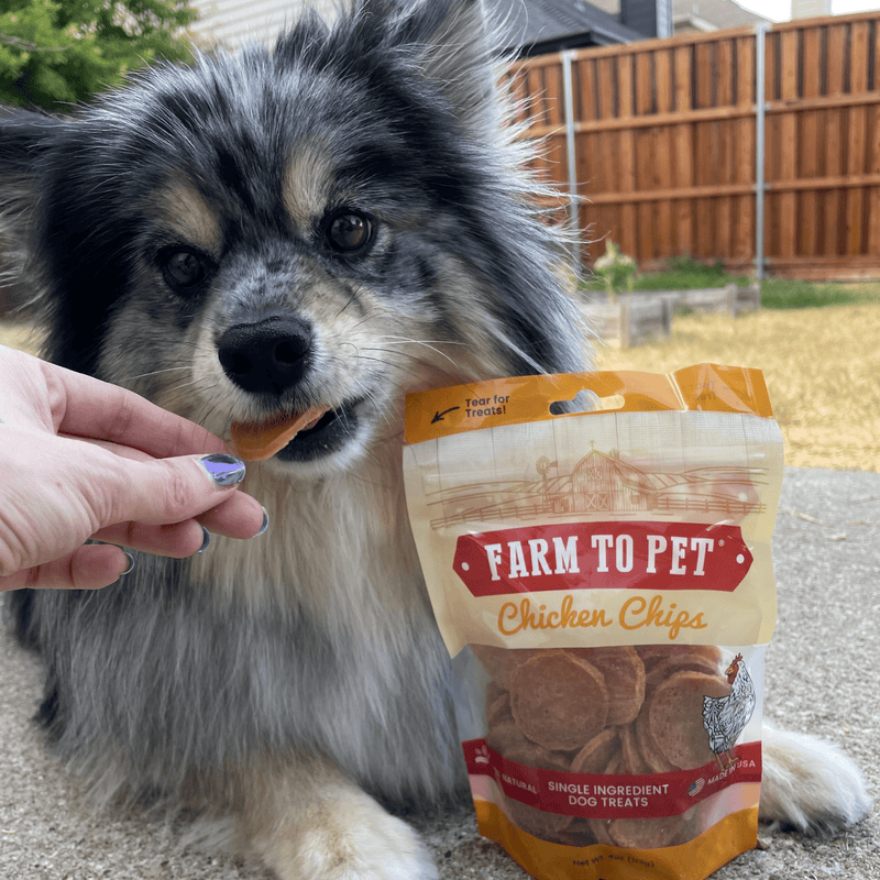 Chicken Chips for Dogs