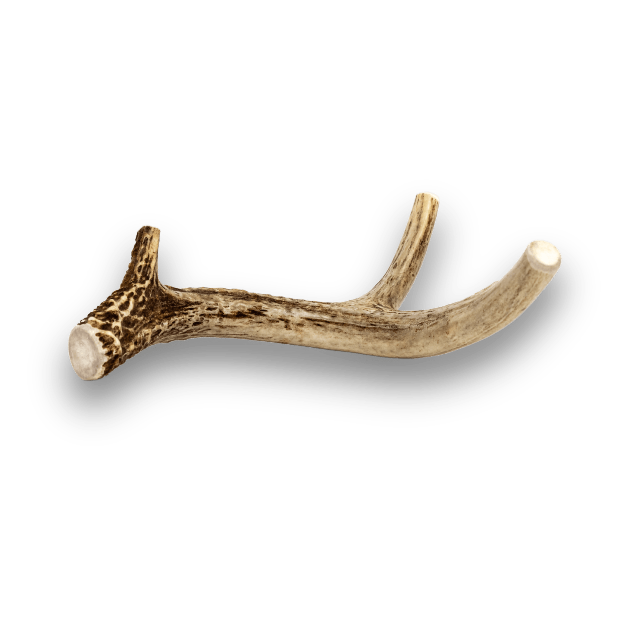Deer Antlers for Dogs