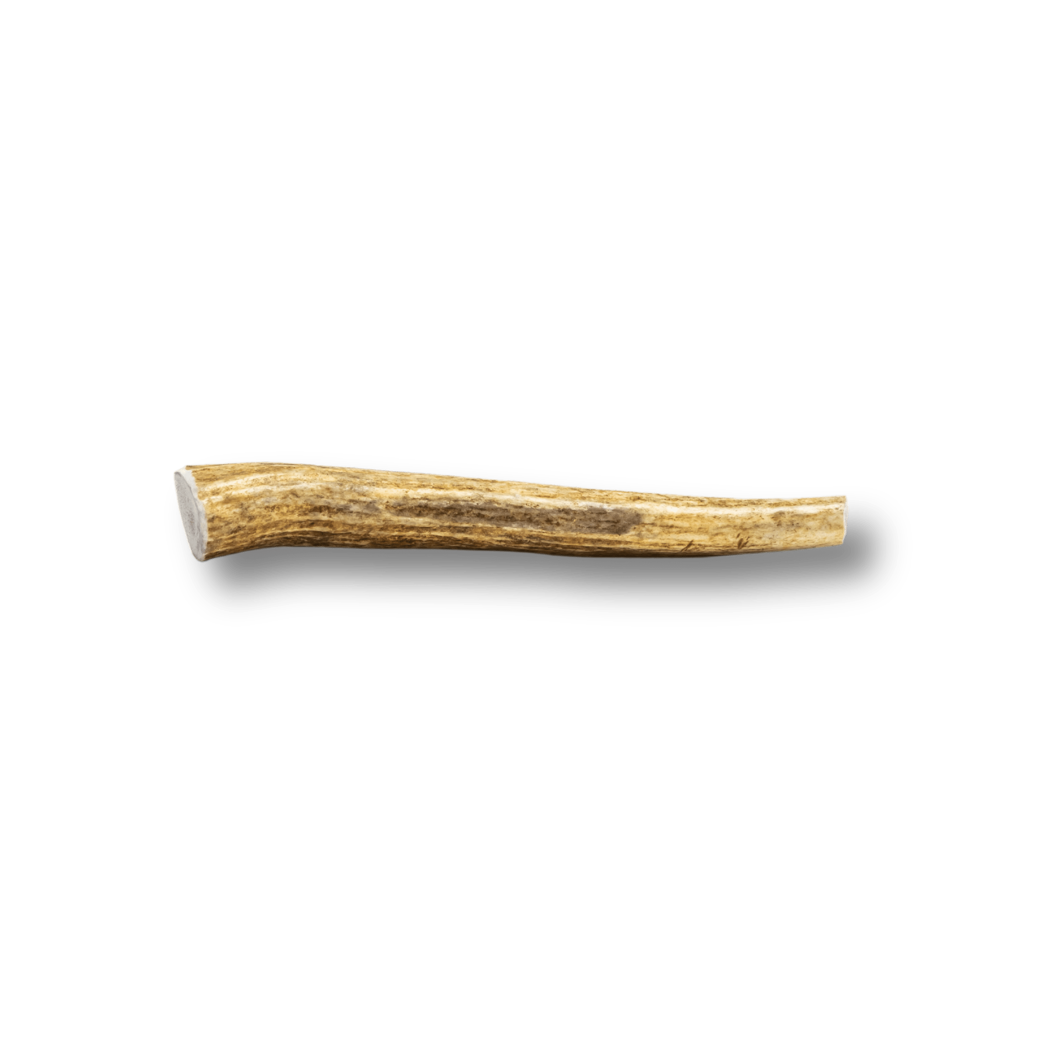 Whole Elk Antlers for Dogs