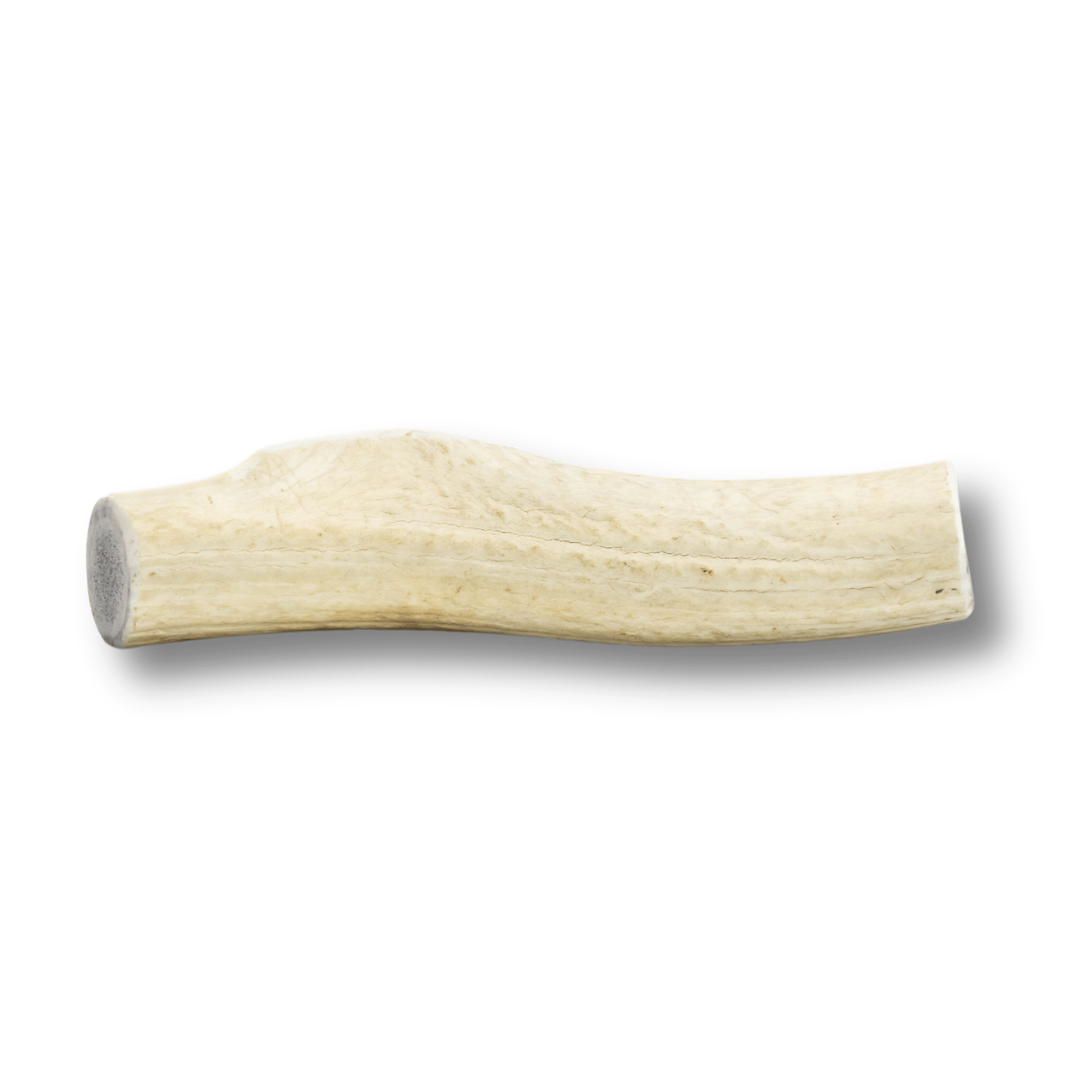 Whole Elk Antlers for Dogs