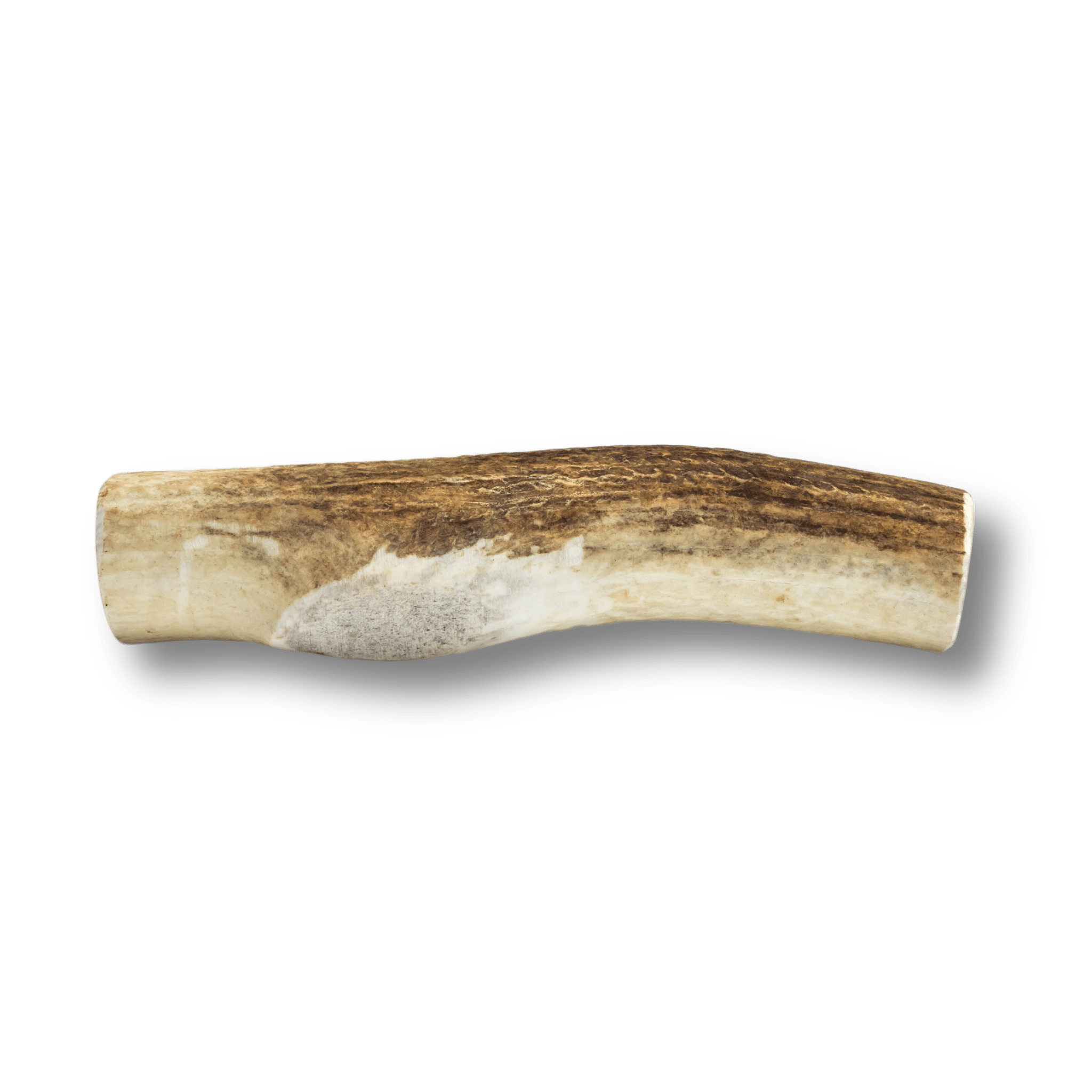 Whole Elk Antlers for Dogs