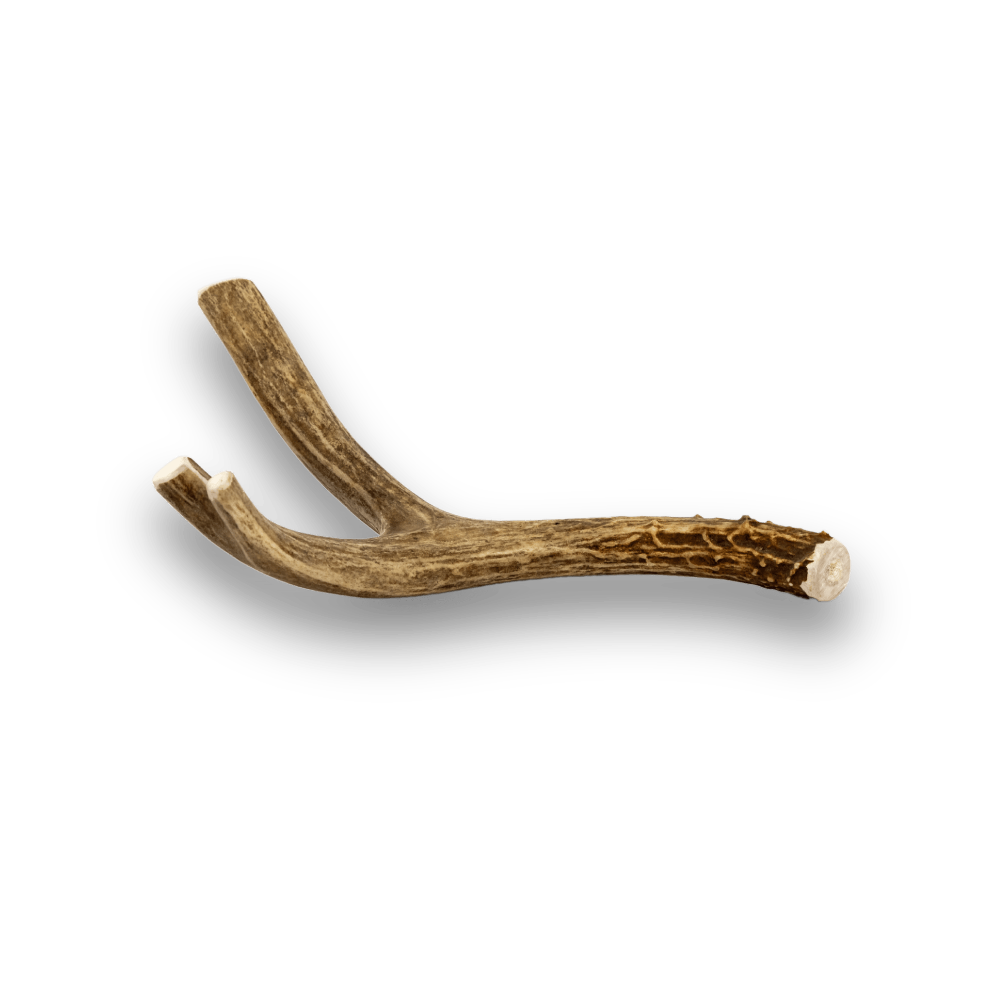 Deer Antlers for Dogs