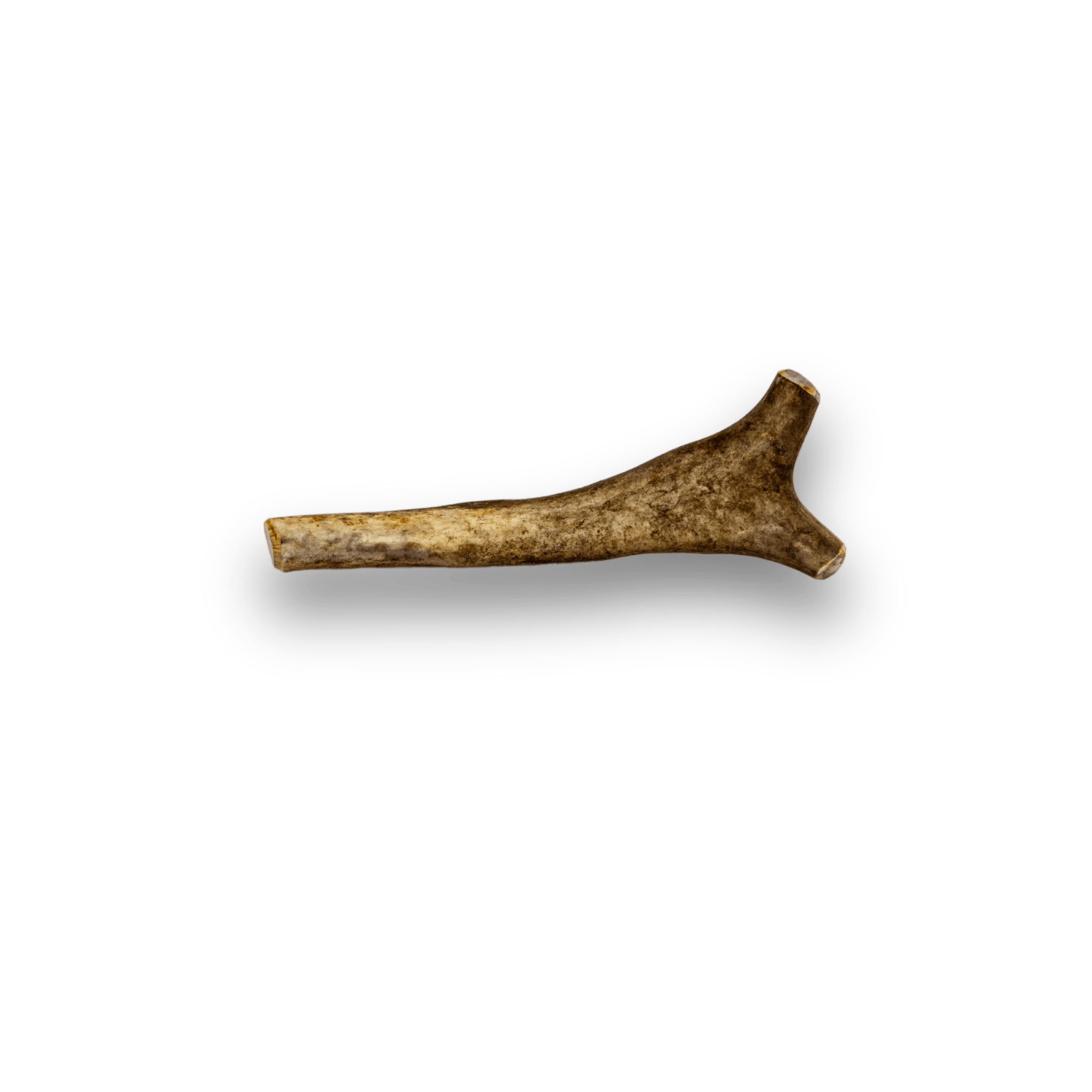 Whole Reindeer Antlers for Dogs